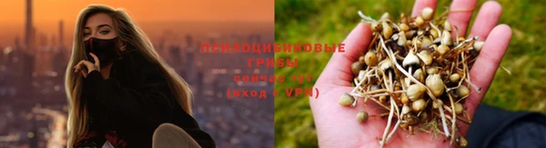 дживик Кулебаки
