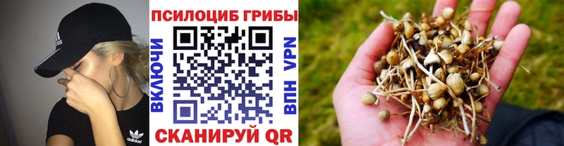 Галлюциногенные грибы Psilocybe купить цена маркетплейс формула Лангепас